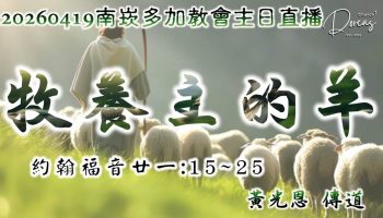 dorcas-img-20260426033552